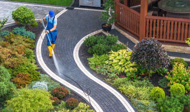 Best Roof Power Washing Services  in Johnson City, NY